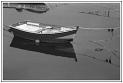 Barque cordes et algues